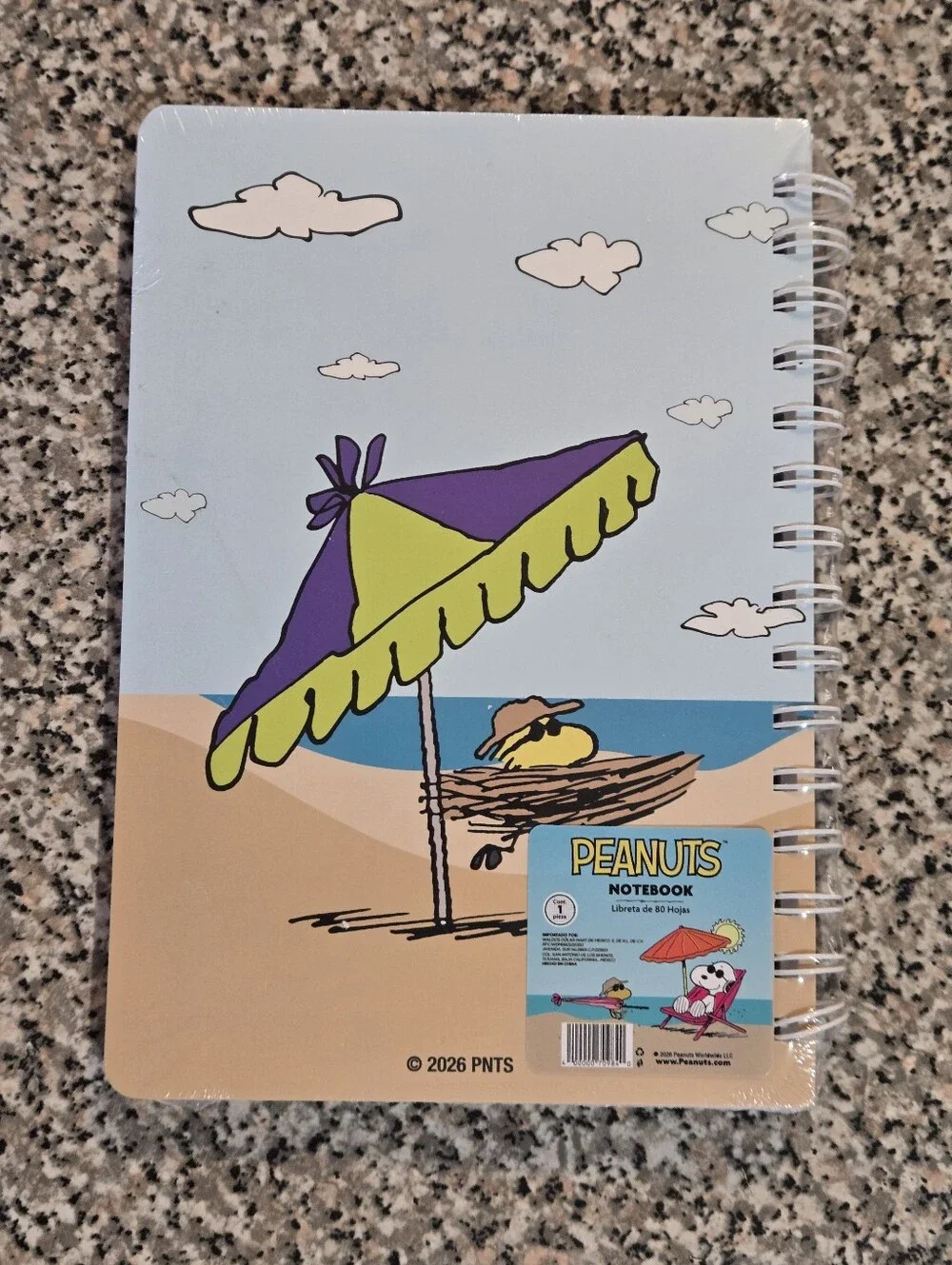 Peanuts Snoopy Beach Spiral Notebook - Light Blue & Pink
